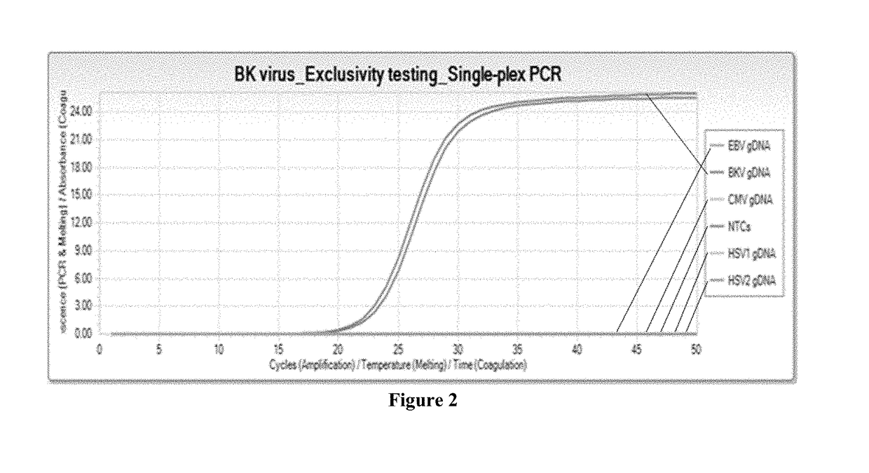 Compositions and methods for detection of bk virus