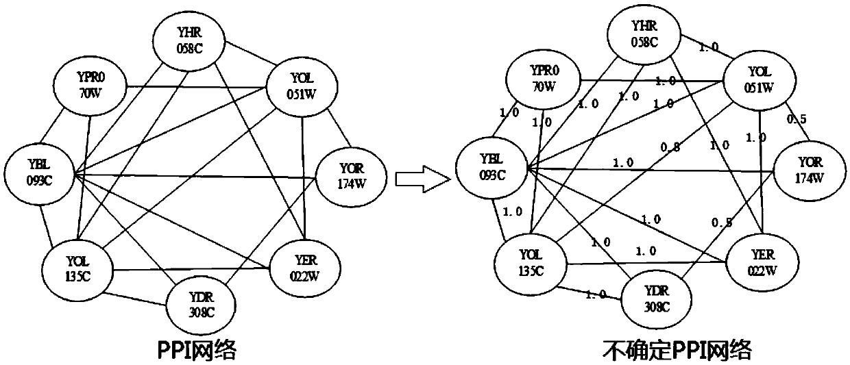 Indeterminate PPI network function module mining method based on fuzzy spectral clustering