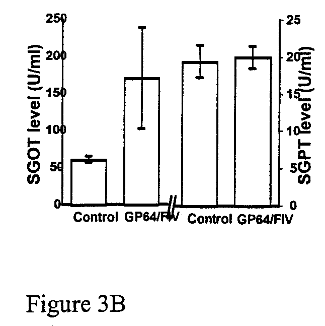 Methods for producing and using in vivo pseudotyped retroviruses