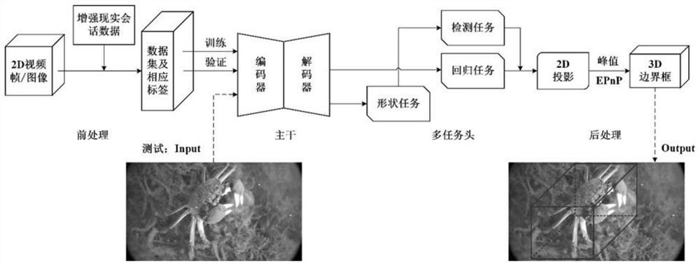 Mobile 3D river crab real-time detection method for 2D images