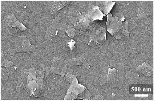 Ferrocene-based ultrathin metal organic framework nano-sheets and preparation method thereof