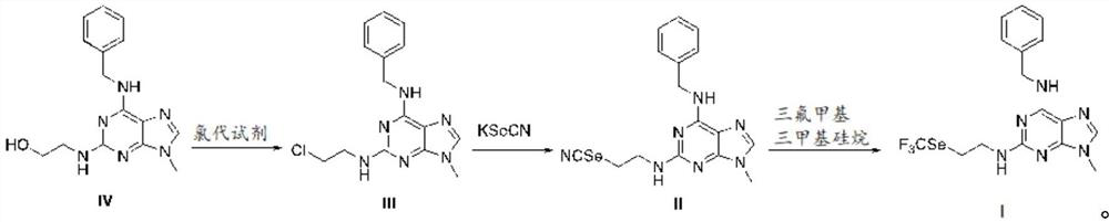 Selenium-containing organic compound as well as preparation method and application thereof