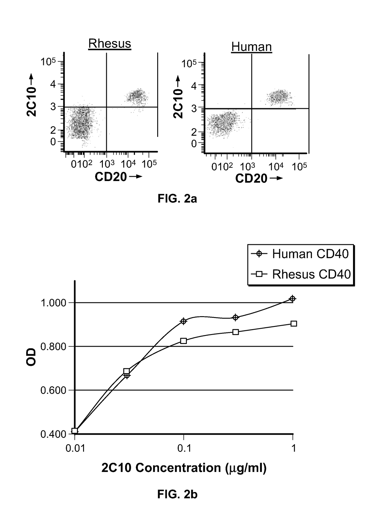 Humanized Anti-cd40 antibodies and uses thereof