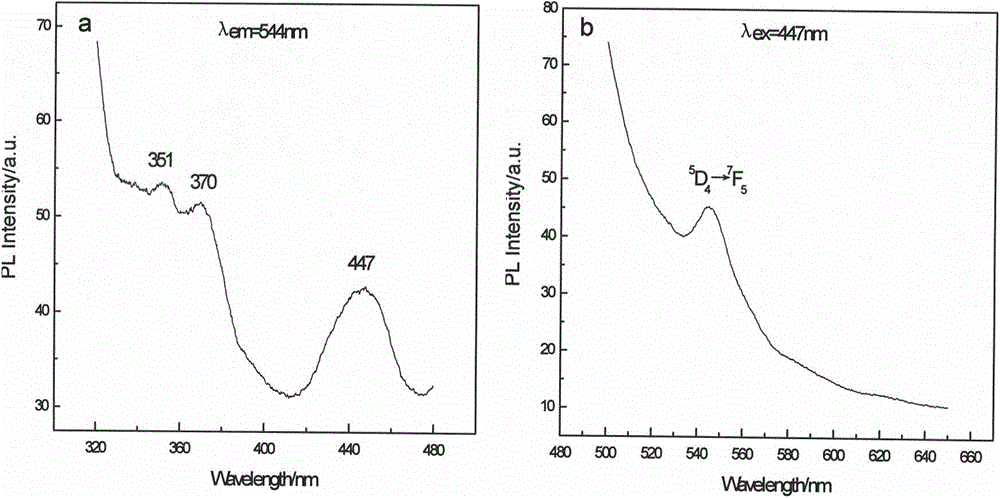 Preparation method of magnetic and luminous bifunctional hydroxyapatite nanoparticle in core-shell structure