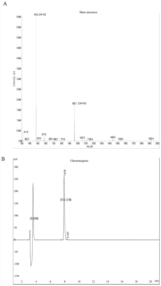 A polypeptide nanofiber hydrogel for slow release of exosomes and its preparation method and application