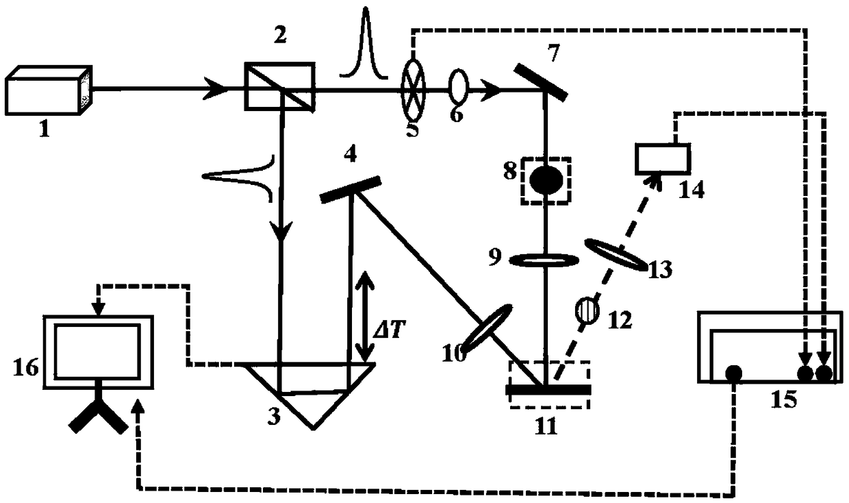 Ultrafast time-resolved transient reflectance spectrometer