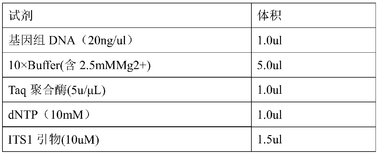 Soybean paste based on pre-fermentation and using Monascus purpureus as dominant fungus symbiotic system, and preparation method thereof