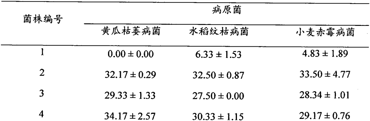 Bacillus belesei BMF 03 and use and fermentation method thereof