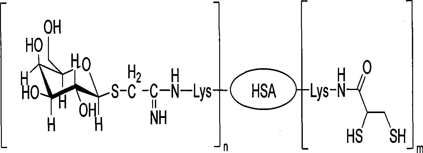 Technetium-99m marked dimercapto propionamido novel lactose albumin complexes, preparation and use thereof