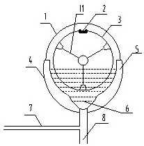 A method for extracting eucommia gum by whole biological enzymatic method