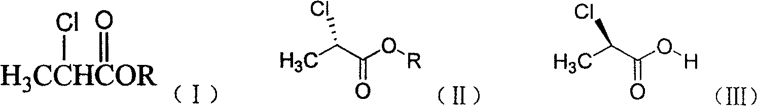 Method of preparing (S)-(-)-2-chloropropionate and (R)-(+)-2-chloro propionic acid