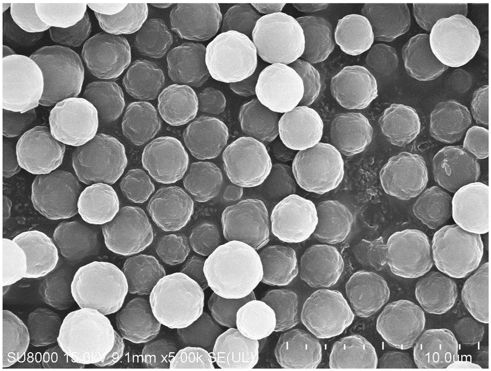 Method for preparing monodisperse carbon microspheres by using cane sugar as carbon source