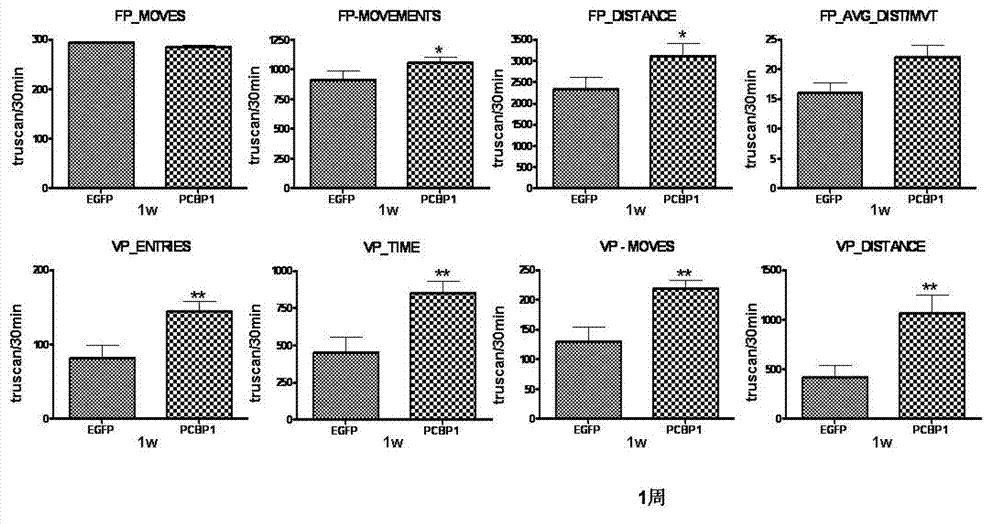 Application of poly cytosine binding protein-1 in preparation of medicine for preventing and treating Parkinson disease