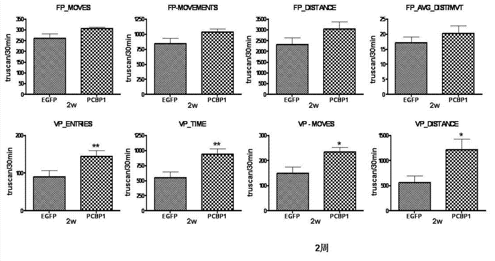Application of poly cytosine binding protein-1 in preparation of medicine for preventing and treating Parkinson disease