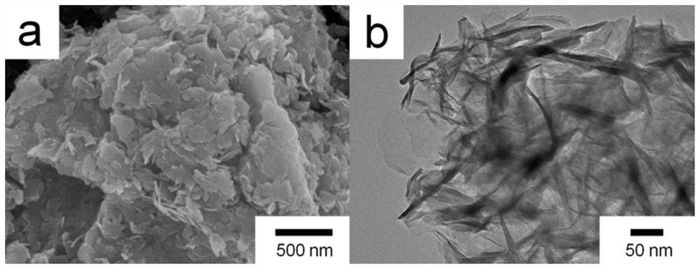 α-co(oh)  <sub>2</sub> /ppy/go nanosheets and oer electrocatalytic modified electrodes based on them