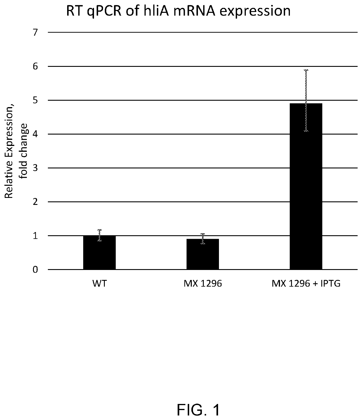 Microorganisms with increased photosynthetic capacity