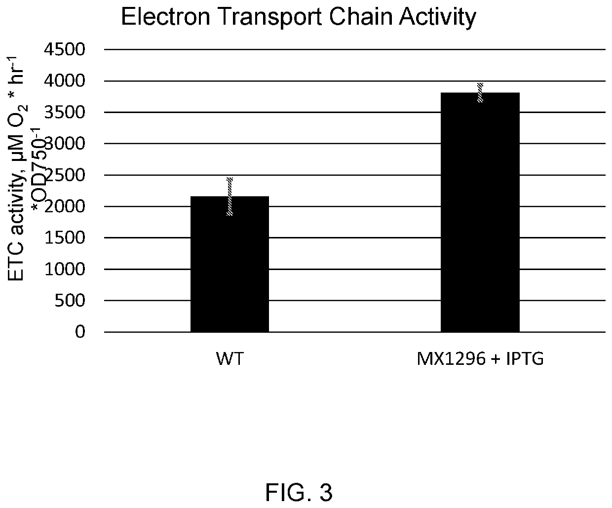 Microorganisms with increased photosynthetic capacity