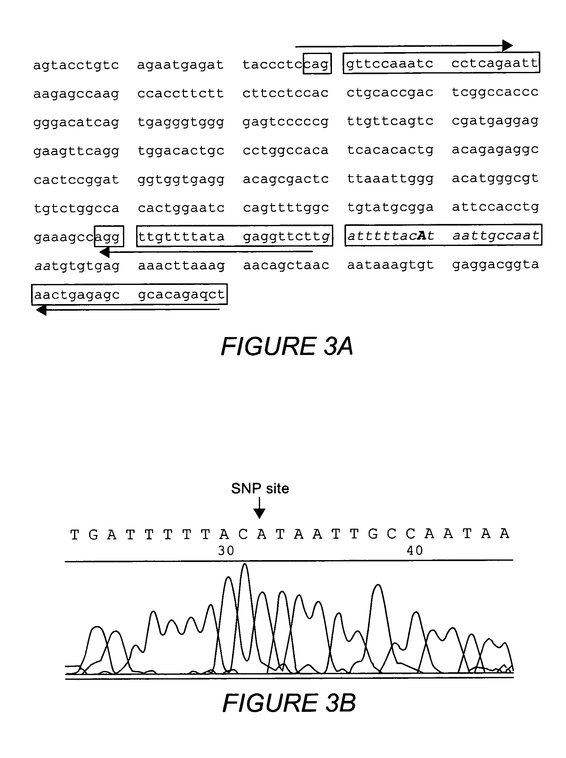 Multiple sequencible and ligatible structures for genomic analysis