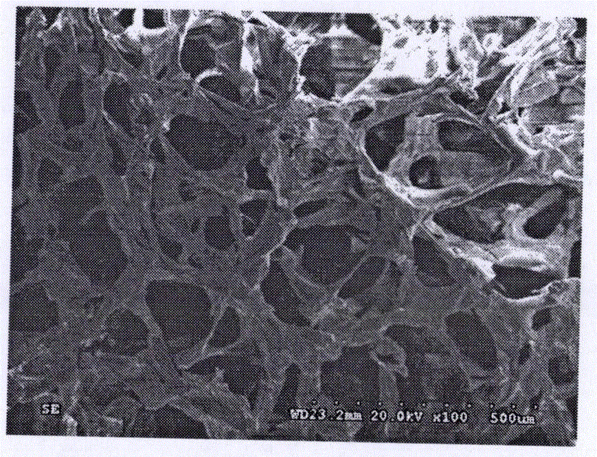 Hydrophobic lipophilic food-grade oil absorption material and preparation method thereof