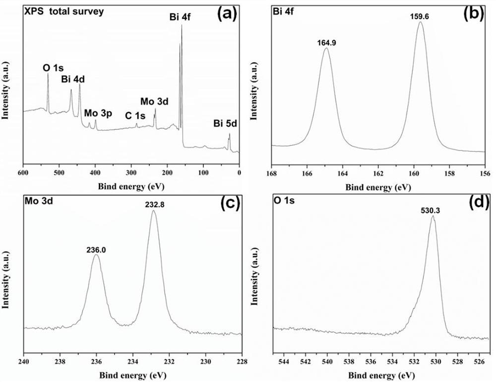 Oxygen vacancy-enriched bismuth molybdate photocatalytic material as well as preparation method and application thereof