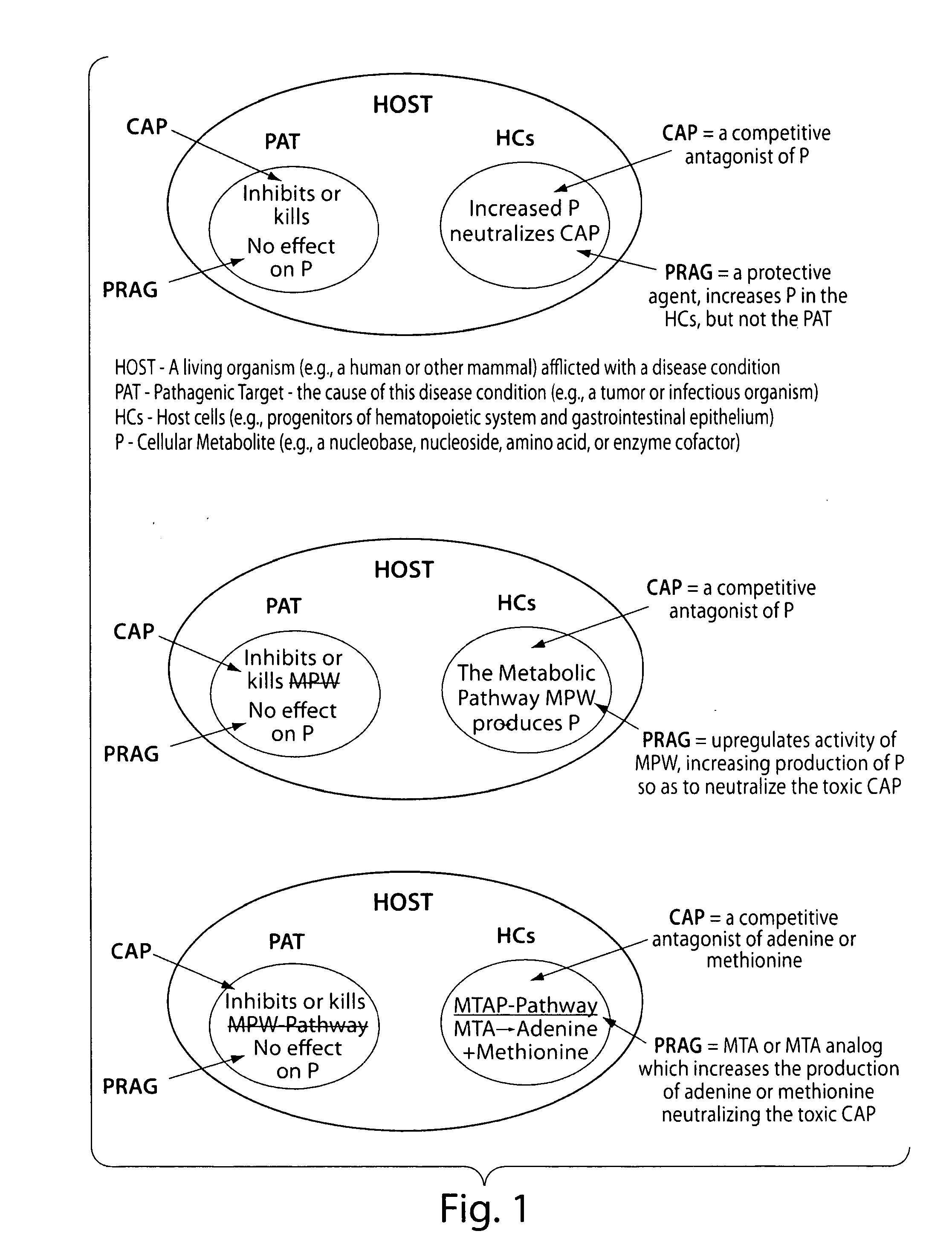 Method for the selective therapy of disease