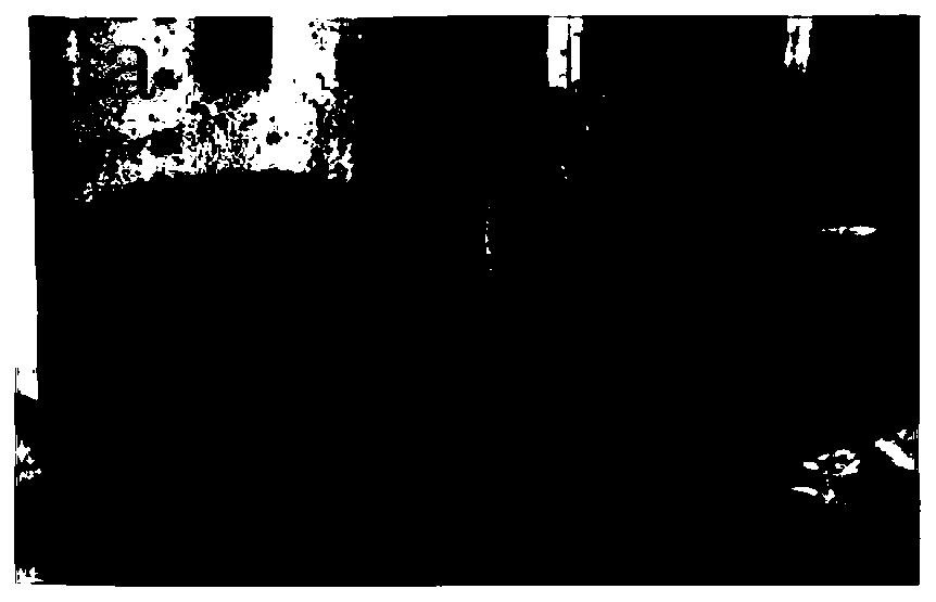 Pretreatment method for waste water produced by o-isopropoxyphenol