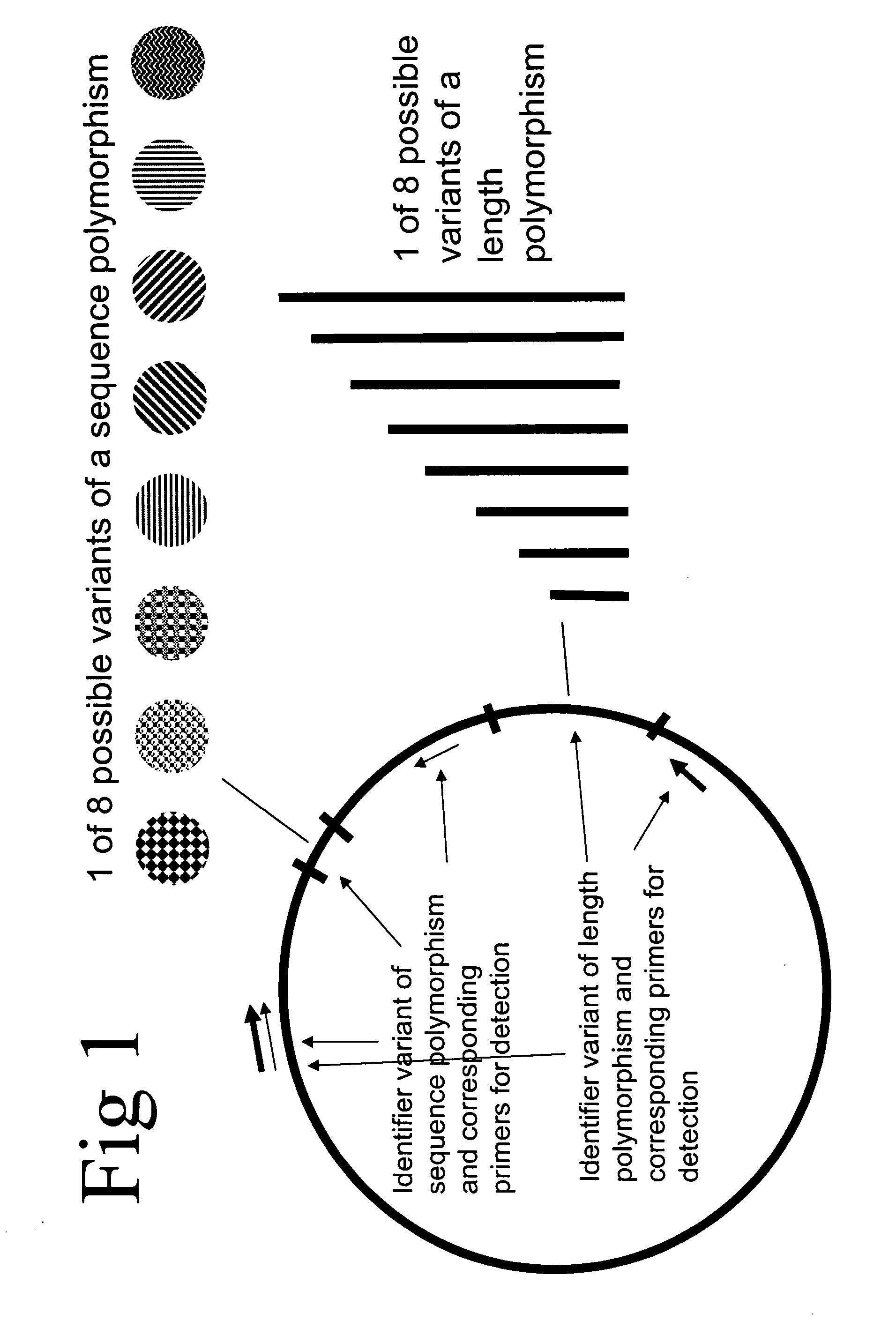 Method of identifying a biological sample for methylation analysis