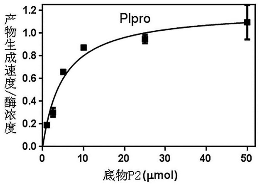 Papaya-like protease inhibitor screening kit and application thereof
