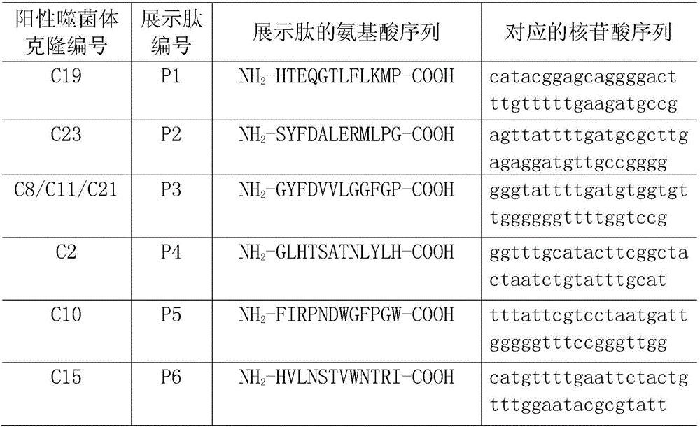 Staphylococcus aureus FnBPA-A protein mimic epitope peptides having immunizing protection, mimic epitope peptide composition, and applications of mimic epitope peptides and mimic epitope peptide composition