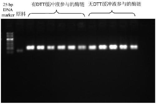 T4 DNA ligase buffer solution for polymerase chain reaction in DNA coding compound library synthesis and application of T4 DNA ligase buffer solution