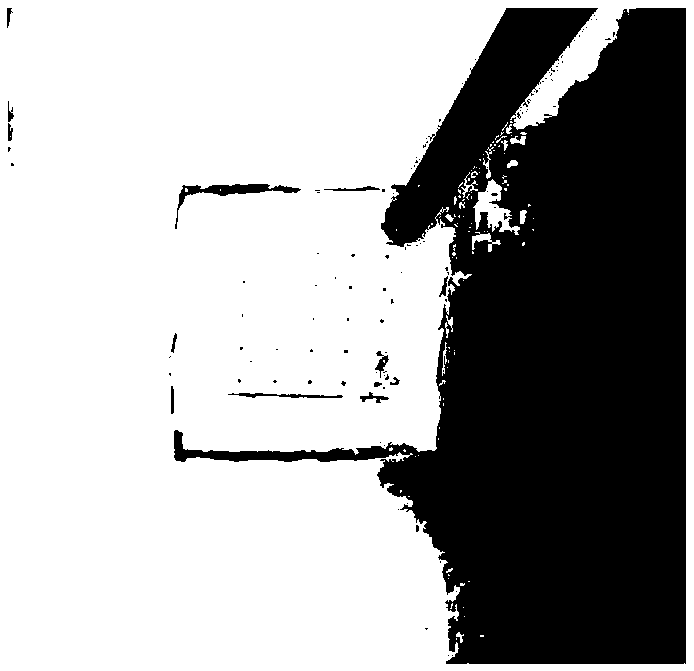 Composite microneedle and microneedle patch