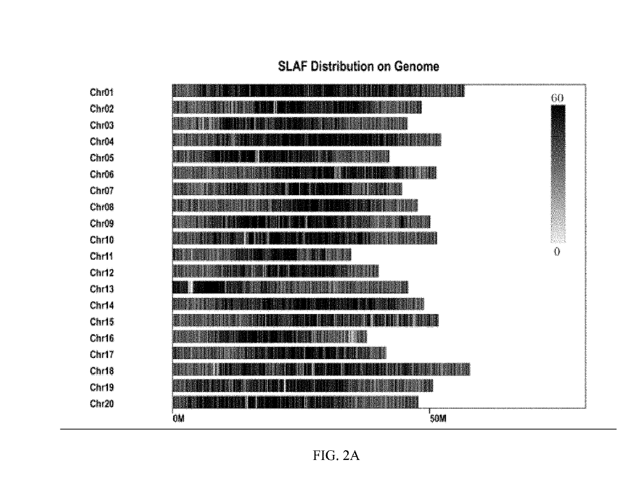 SOYBEAN ANTI-POD-SHATTERING MAJOR QTLqPD05, AND MAPPING METHOD AND APPLICATION THEREOF