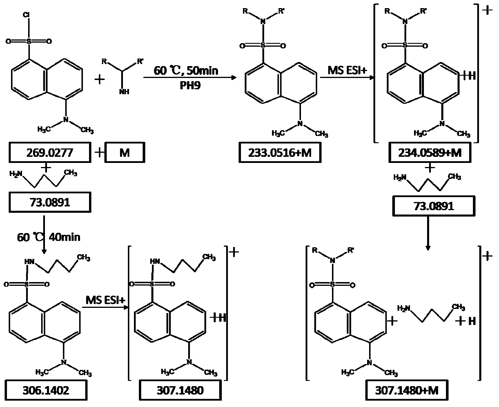 Method for analyzing amine substances in dansyl chloride derived-plasma based on liquid chromatography mass spectrometry