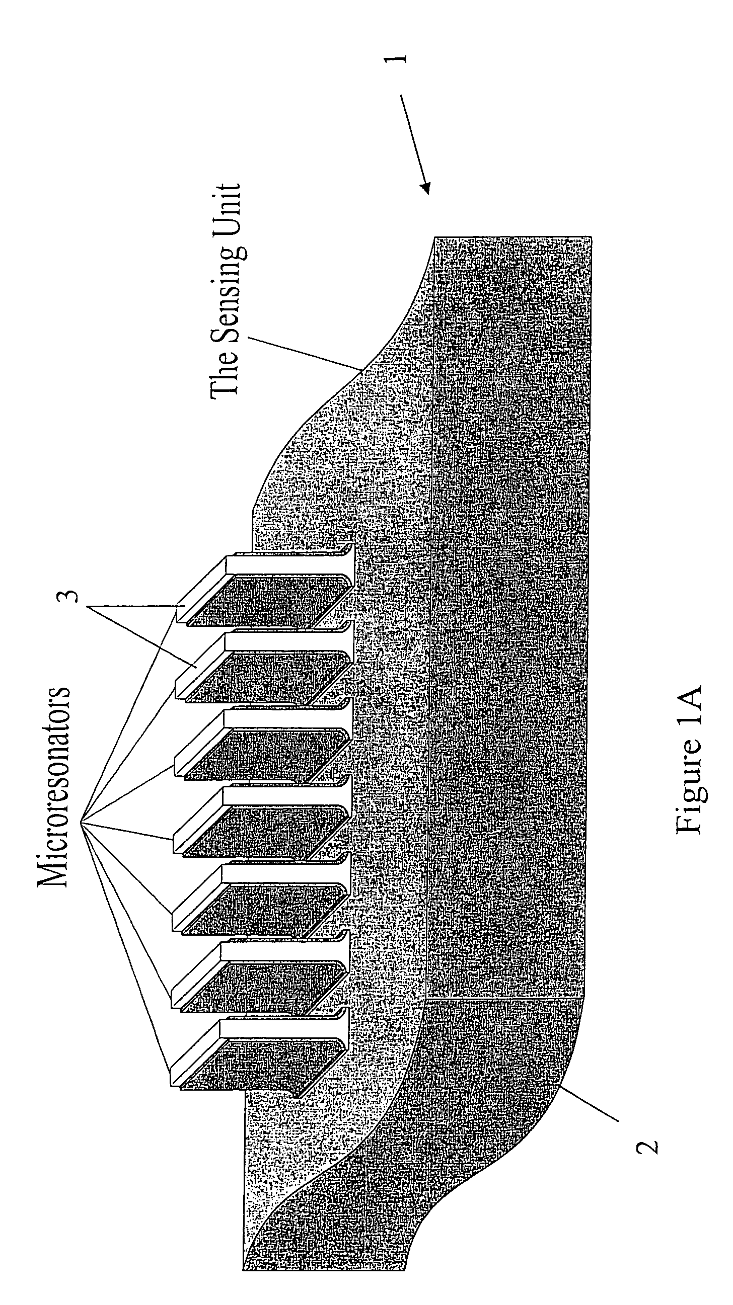Methodology and apparatus for the detection of biological substances