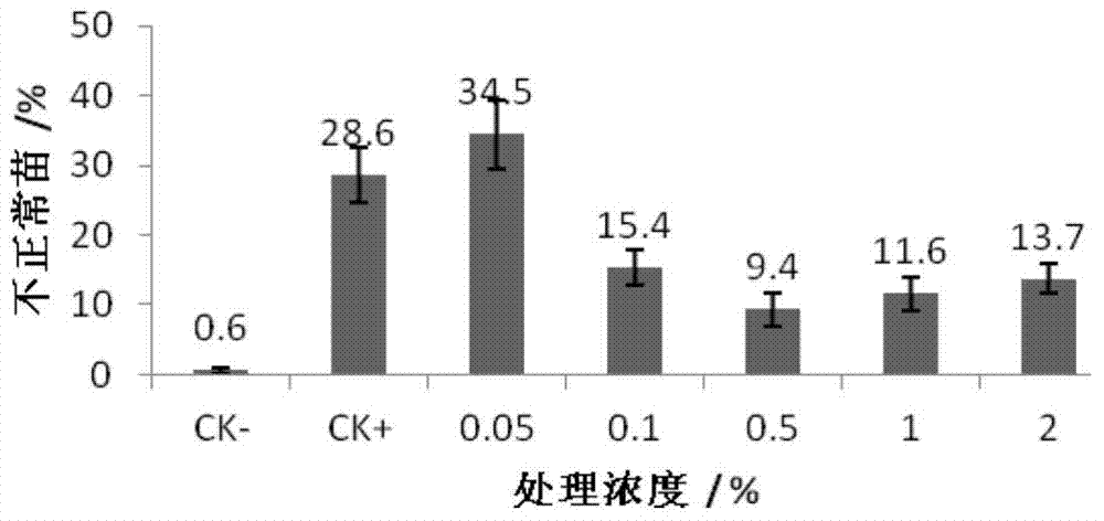 Watermelon seed disinfection technology for controlling occurrence of bacterial fruit blotch and application of watermelon seed disinfection technology