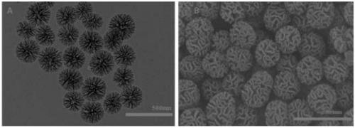 Dendritic silicon dioxide@carbon dot compound nano-particle and preparation method thereof