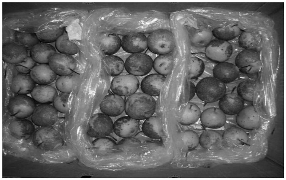 A method for controlling the browning of refrigerated Nanguo pear peel