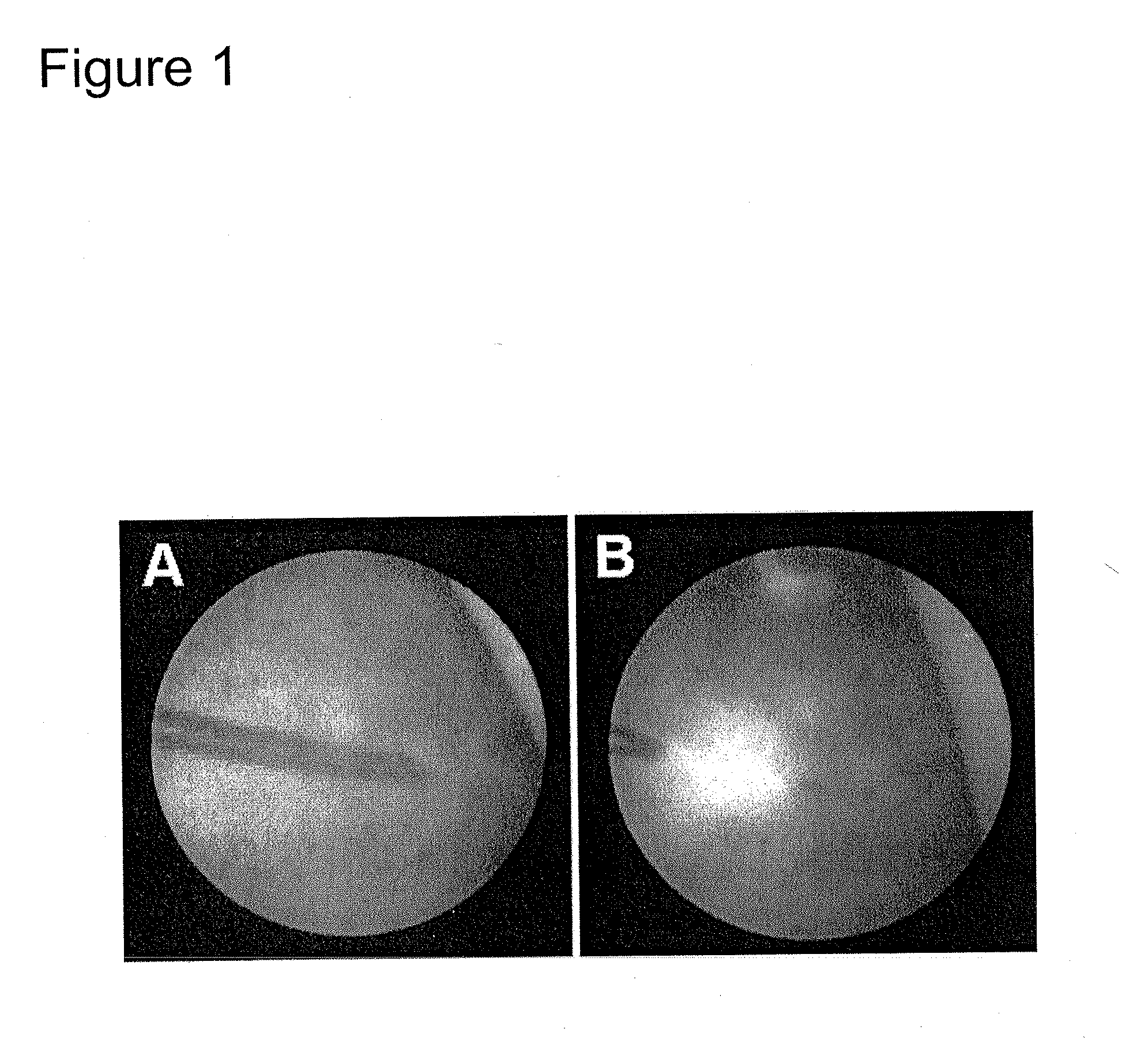 Apparatus and method for obtaining and providing imaging information associated with at least one portion of a sample, and effecting such portion(s)