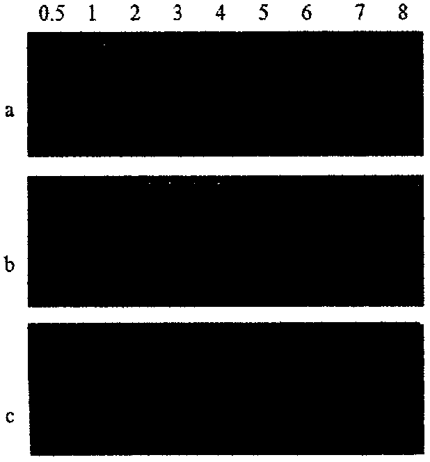 Glutathione-modified chitosan copolymer serving as non-viral gene carrier material and preparation and application thereof