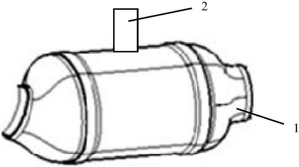 Catalyst assembly and automobile