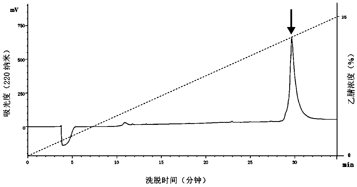 Scorpion toxin active polypeptide HsTx1 capable of improving cerebral ischemia and hypoxia and preparation method and application of scorpion toxin active polypeptide HsTx1