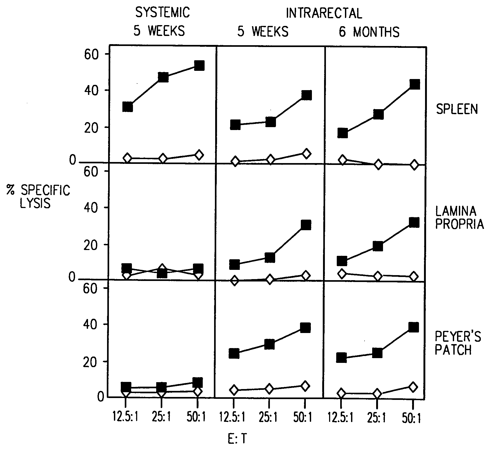 Mucosal cytotoxic T lymphocyte responses