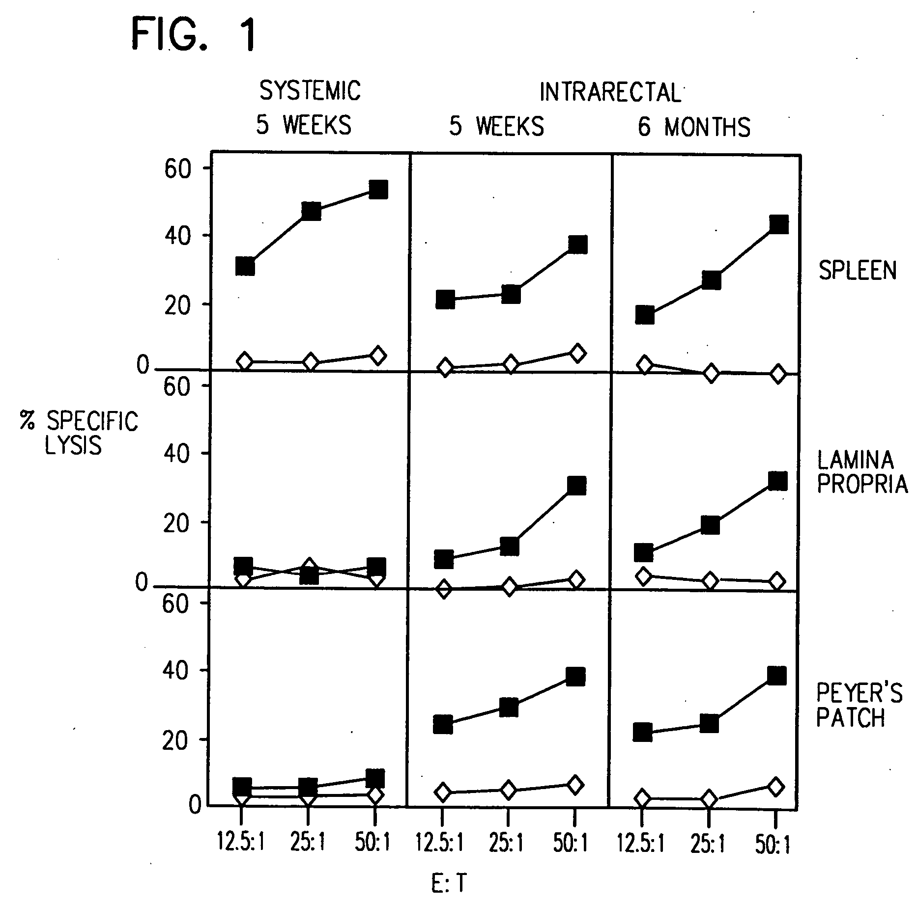 Mucosal cytotoxic T lymphocyte responses