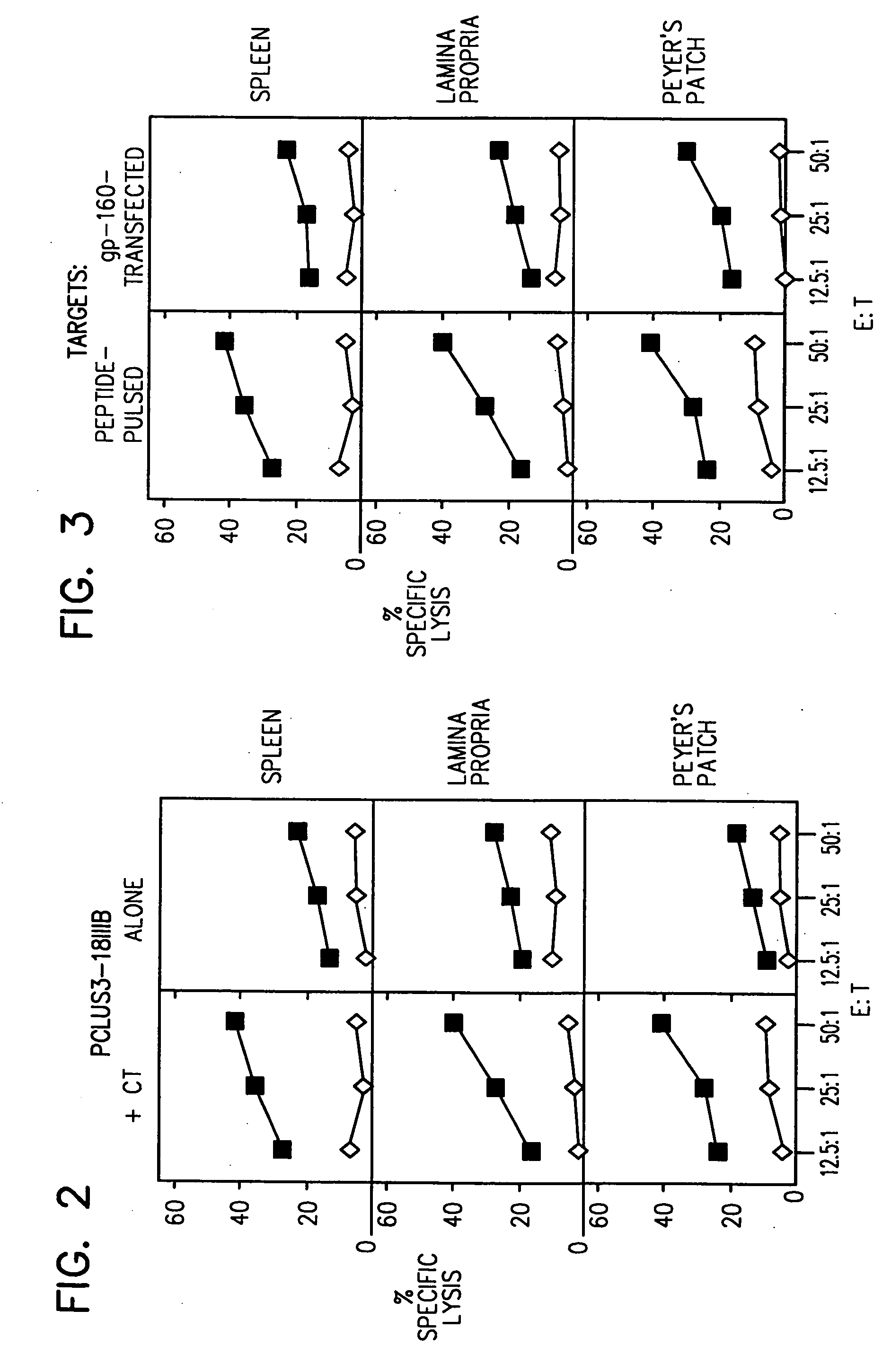 Mucosal cytotoxic T lymphocyte responses