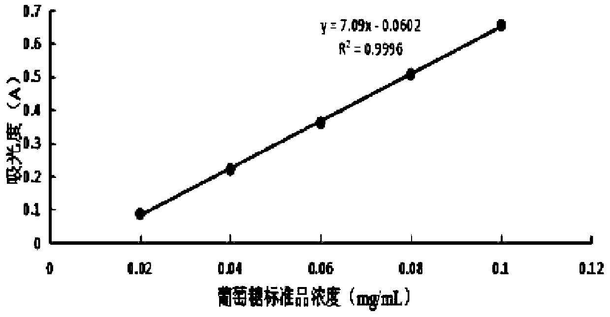Hippophae rhamnoides leaf water extract solid beverage and preparation method thereof