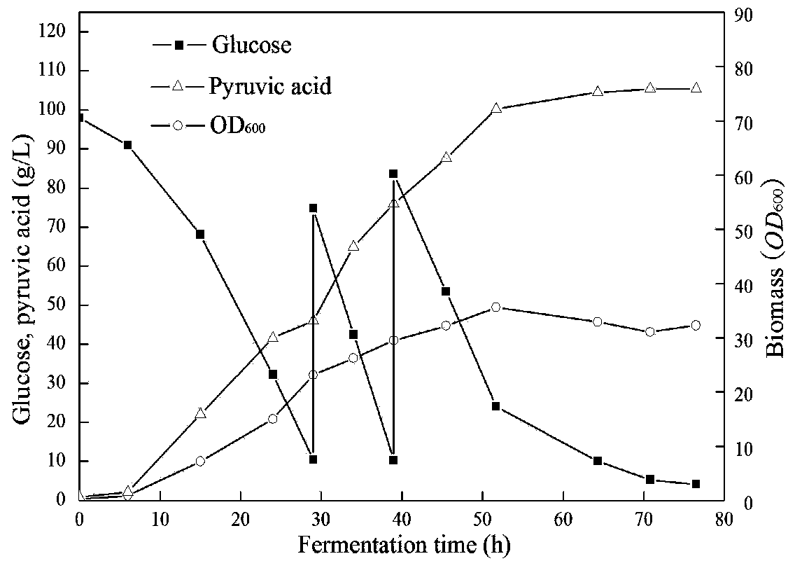 Saccharomyces cerevisiae engineering strain for achieving high yield of pyruvic acid and fermentation method of strain