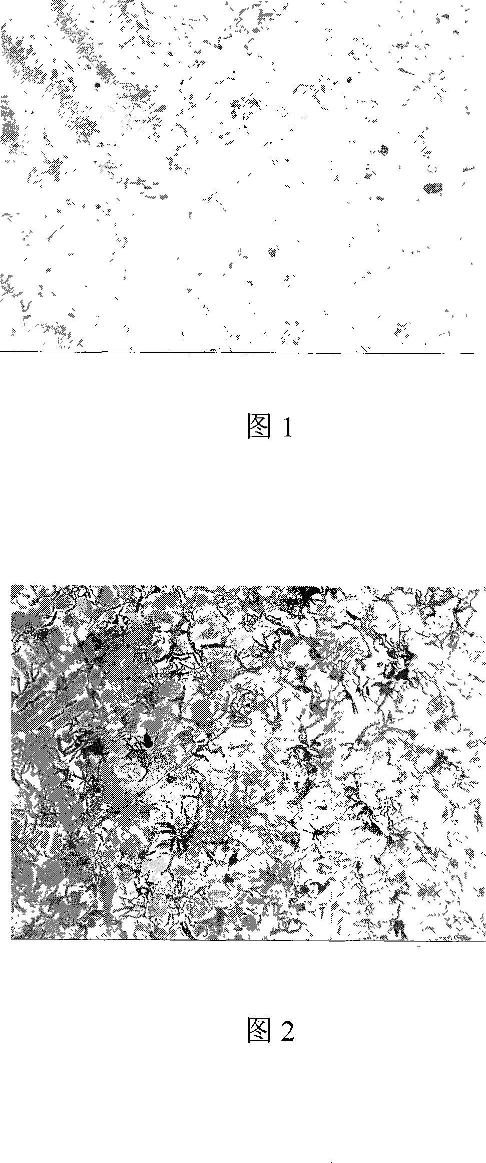 Austenitic gray cast iron material and method for making same