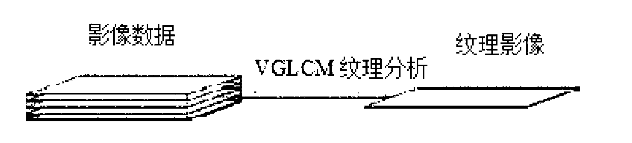 High-spectrum image texture analysis method based on V-GLCM (Gray Level Co-occurrence Matrix)