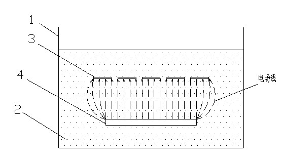 Solar cell electroplating equipment to improve electroplating uniformity