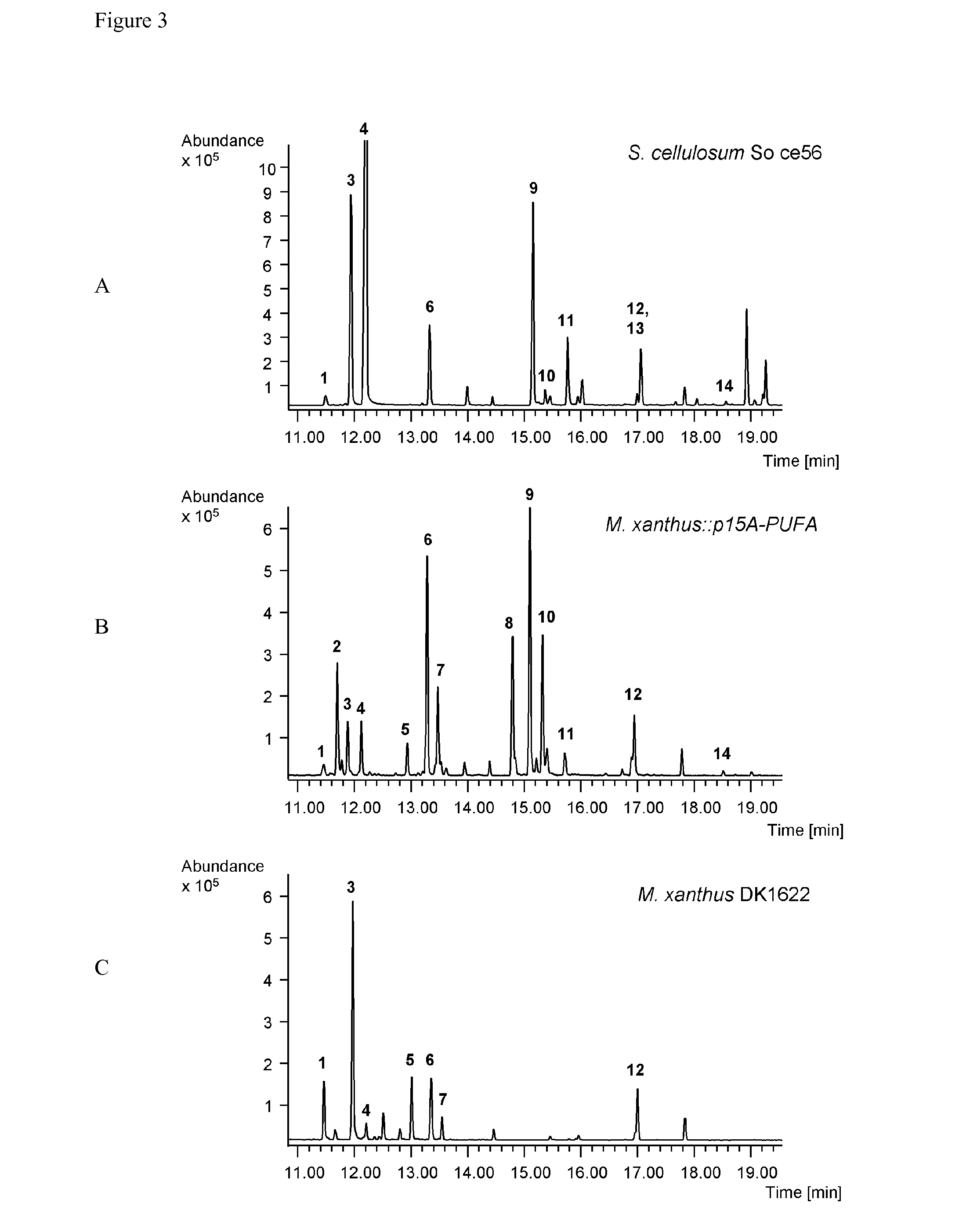 Production of fatty acids by heterologous expression of gene clusters from myxobacteria